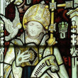 Saint David of Wales